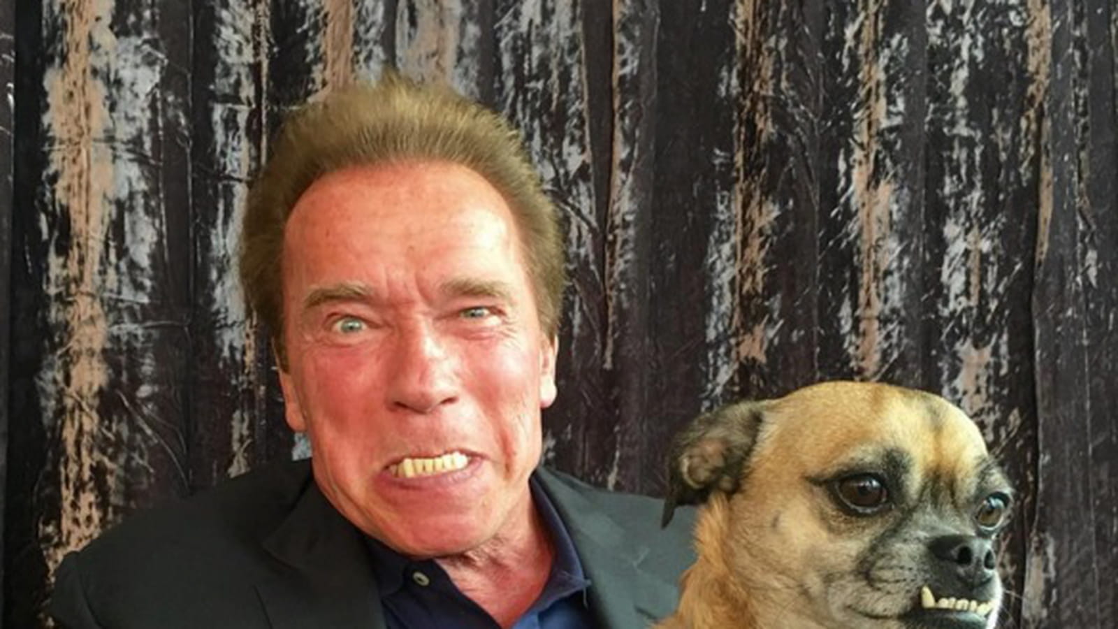 Arnold Schwarzenegger