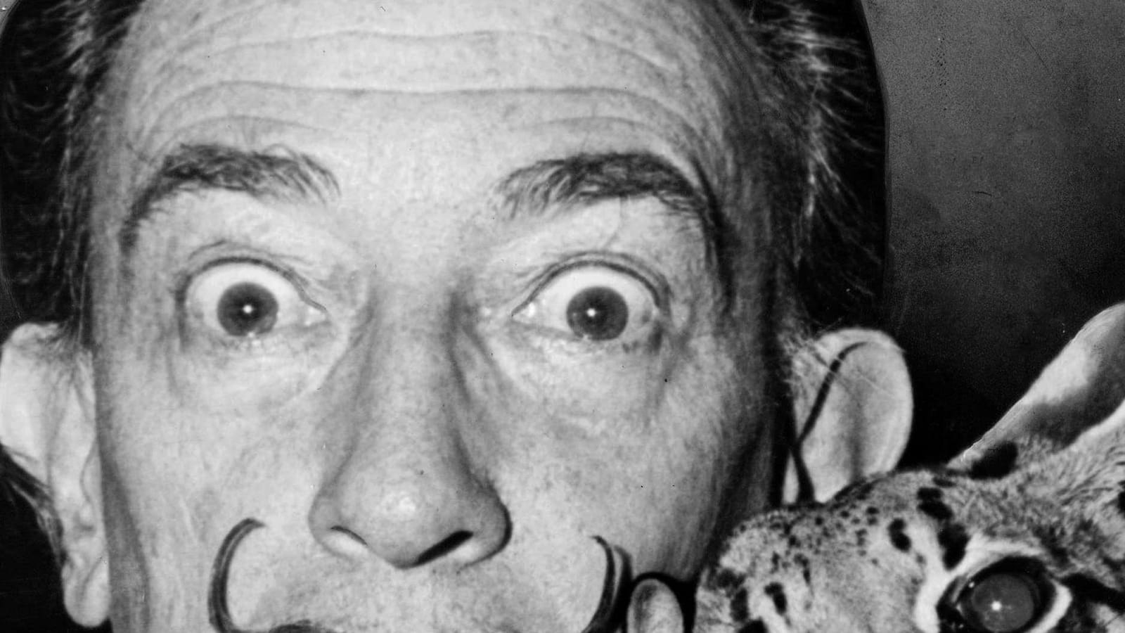 Salvador Dalí
