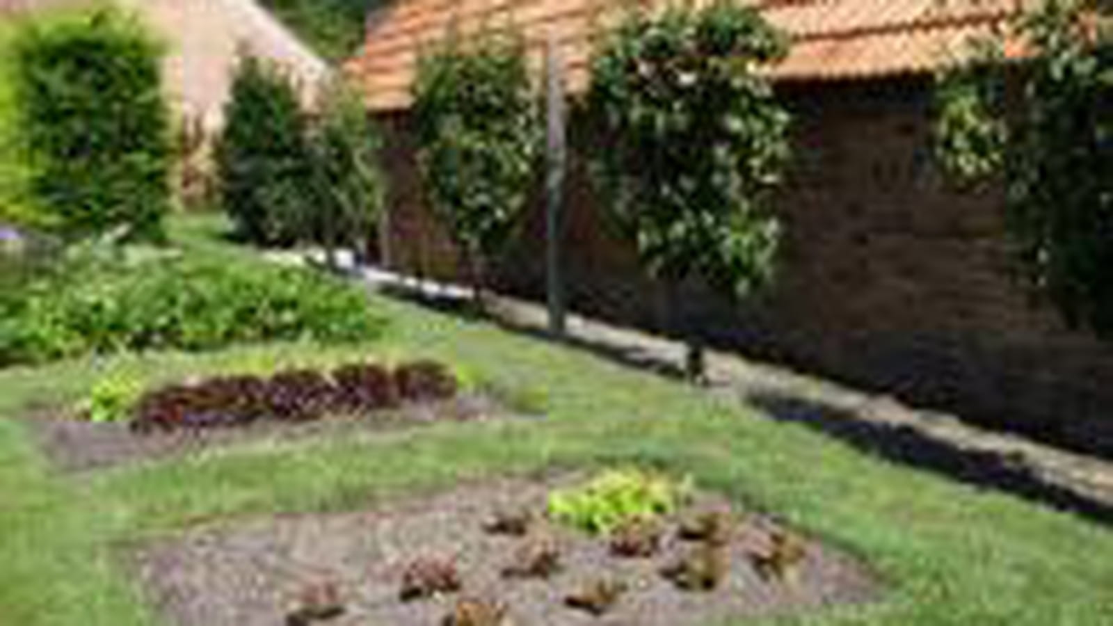 Carrés potagers