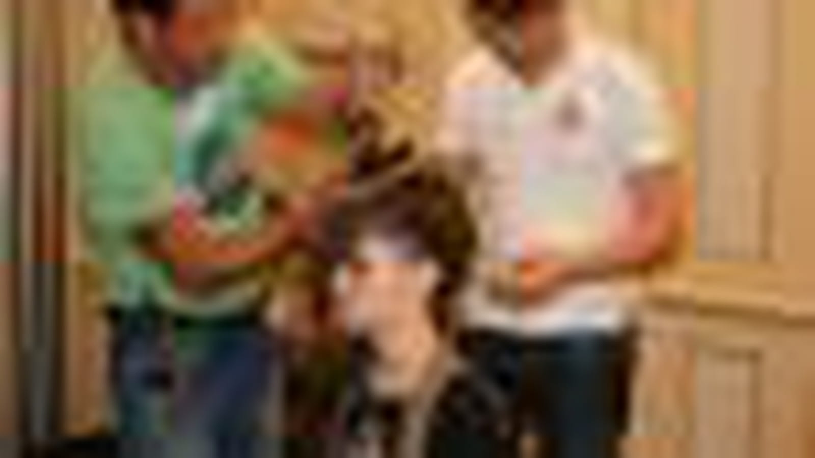 La coiffure