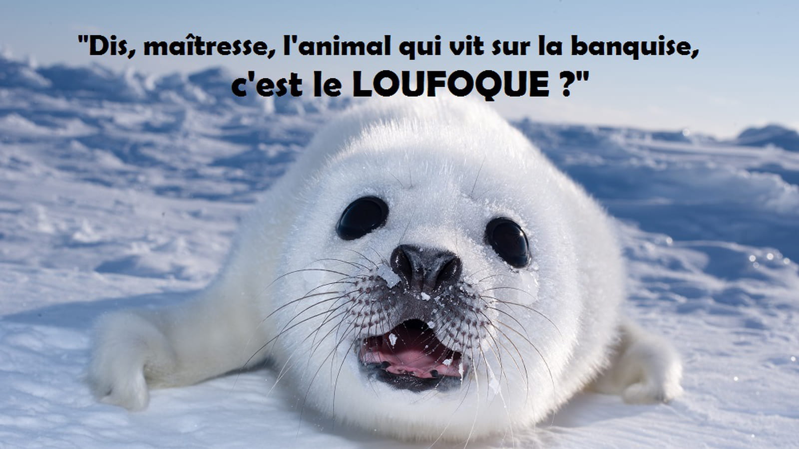 Loufoque