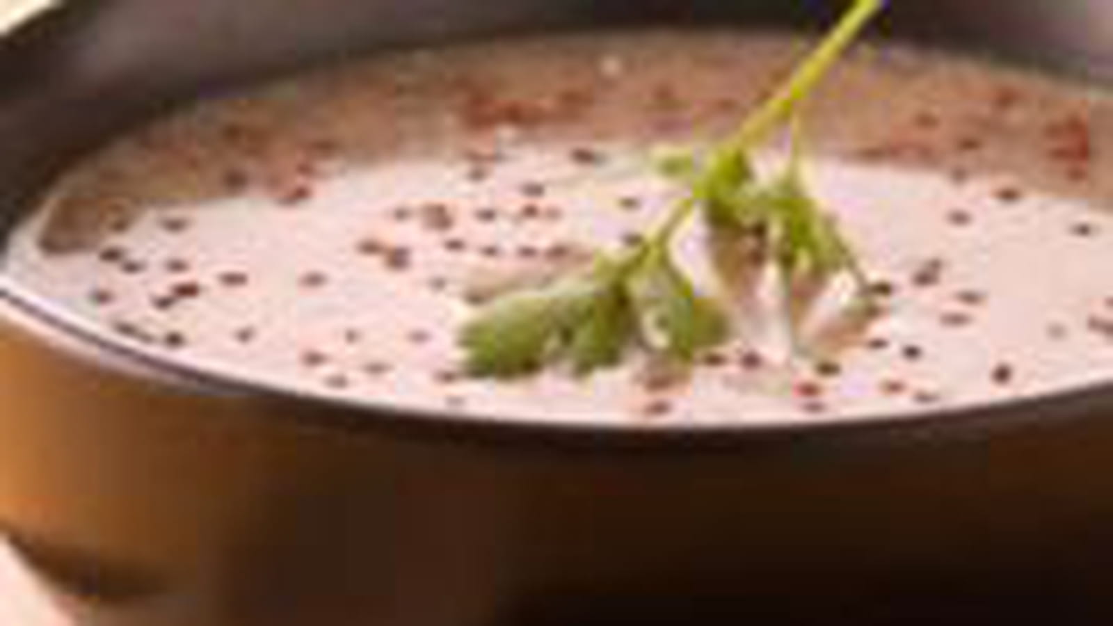 Bouillon de quinoa au jus de roquette et coquillage