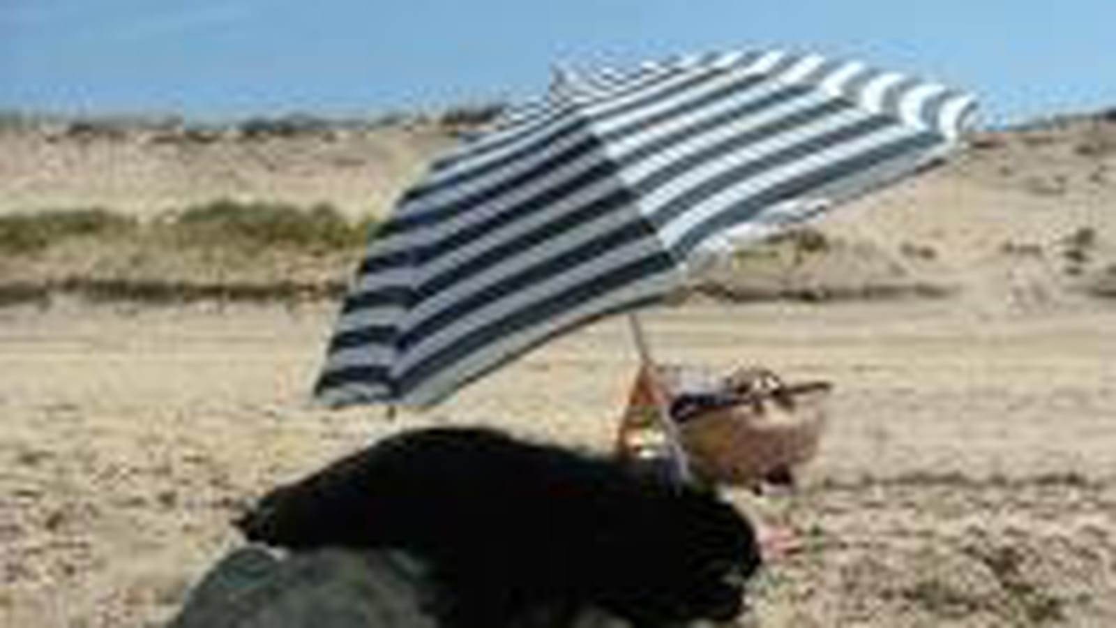Il fait trop chaud pour aller nager