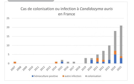 Candida case Auris France