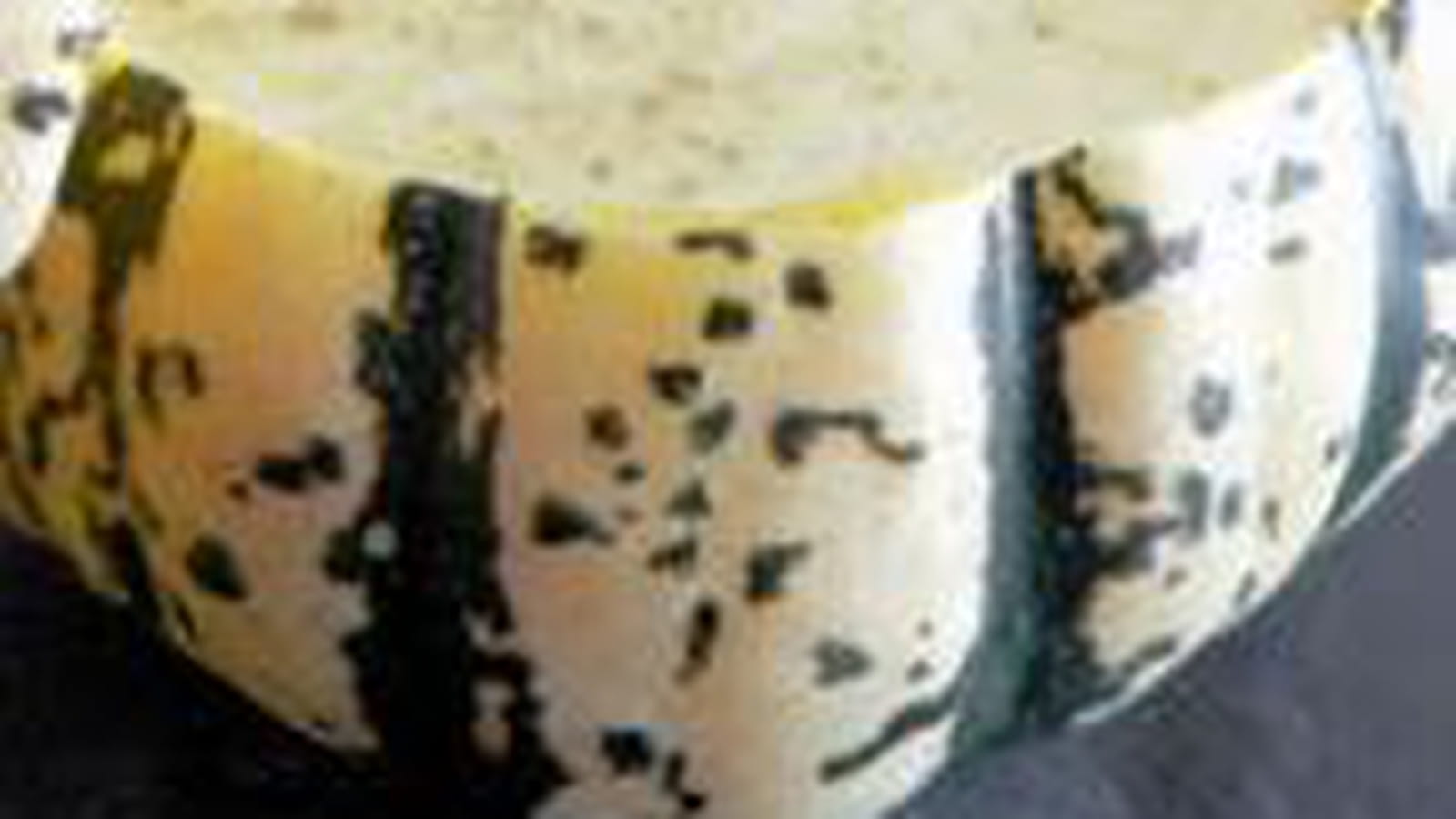Crème de courge Patidou