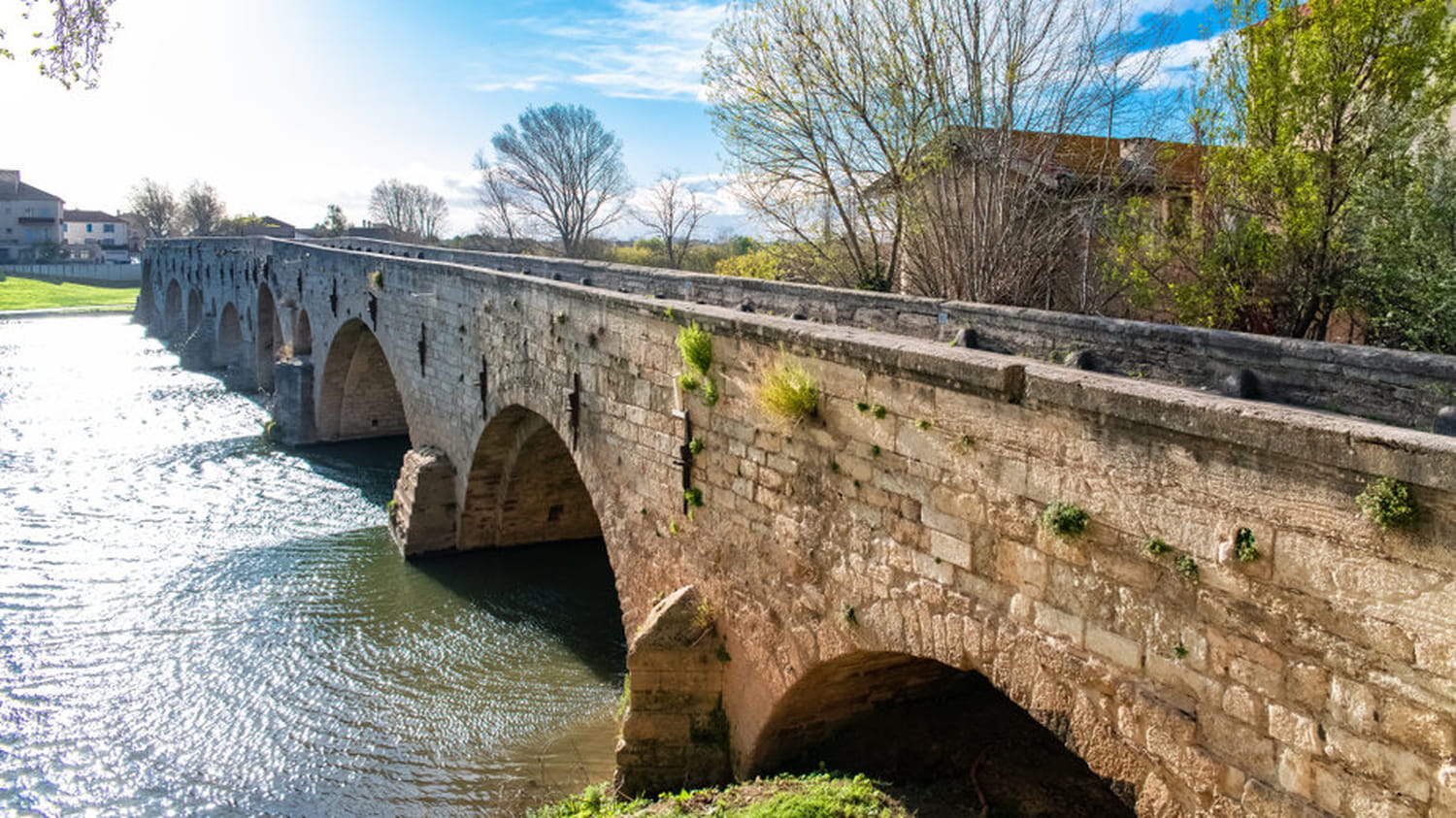 Une mère de famille, tuée par son conjoint à Béziers qui, comble de l'horreur, a...