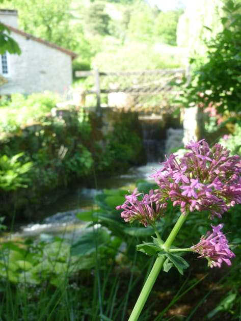 Un arrosage raisonné