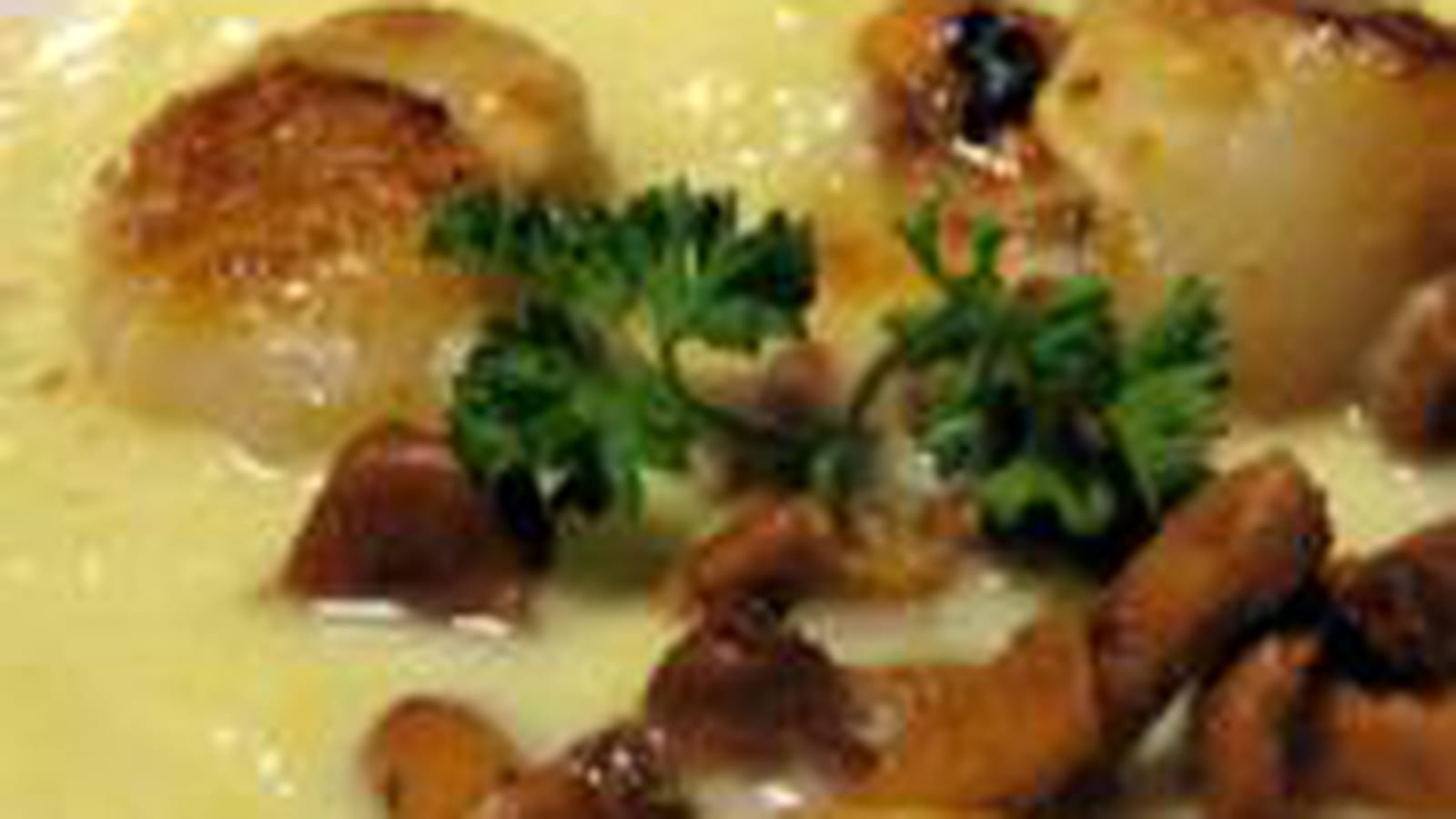 Velouté de poireau, girolles et St-Jacques poêlées