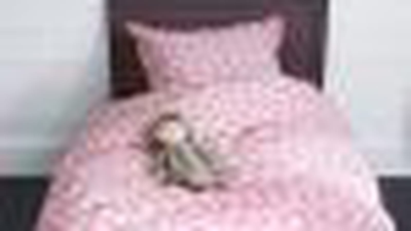 Linge de lit