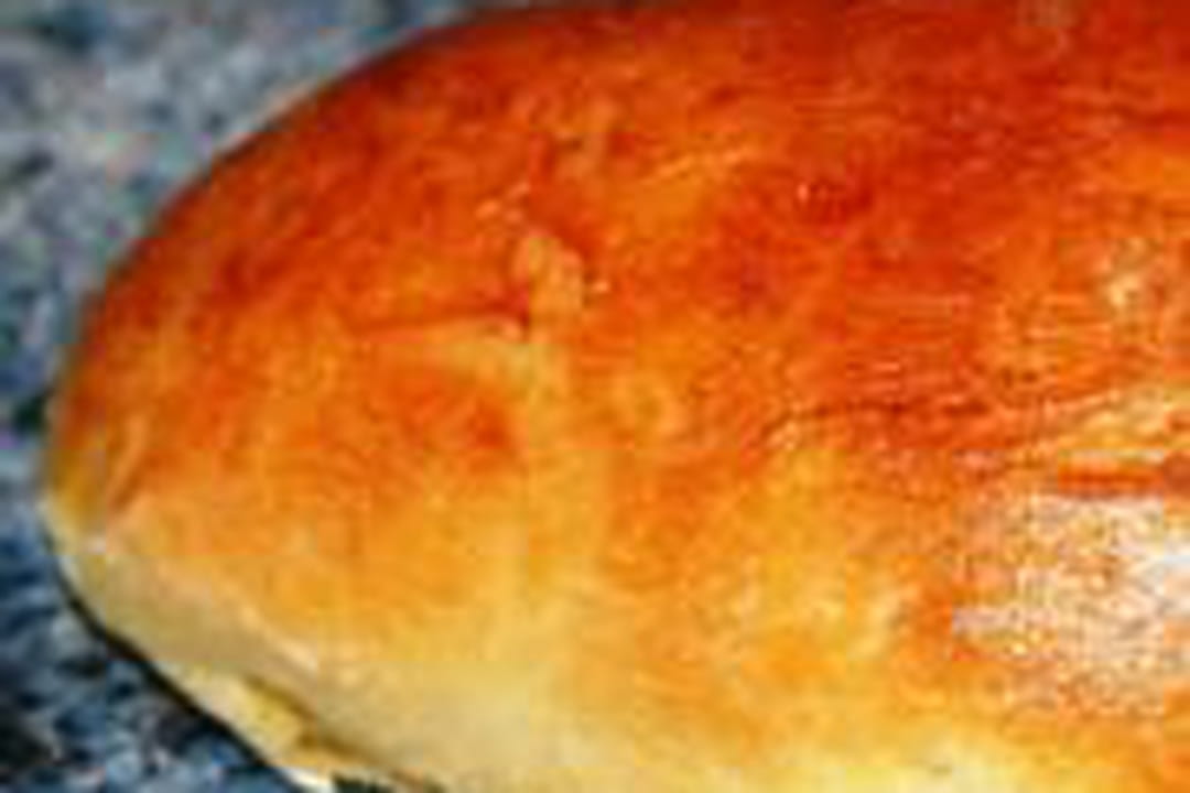 Coquille du Nord