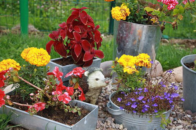 Le bonheur au jardin