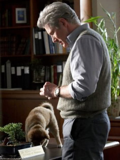 Le bien-être du chien : une priorité sur le tournage