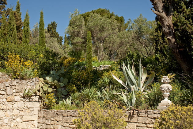 Un jardin méditerranéen