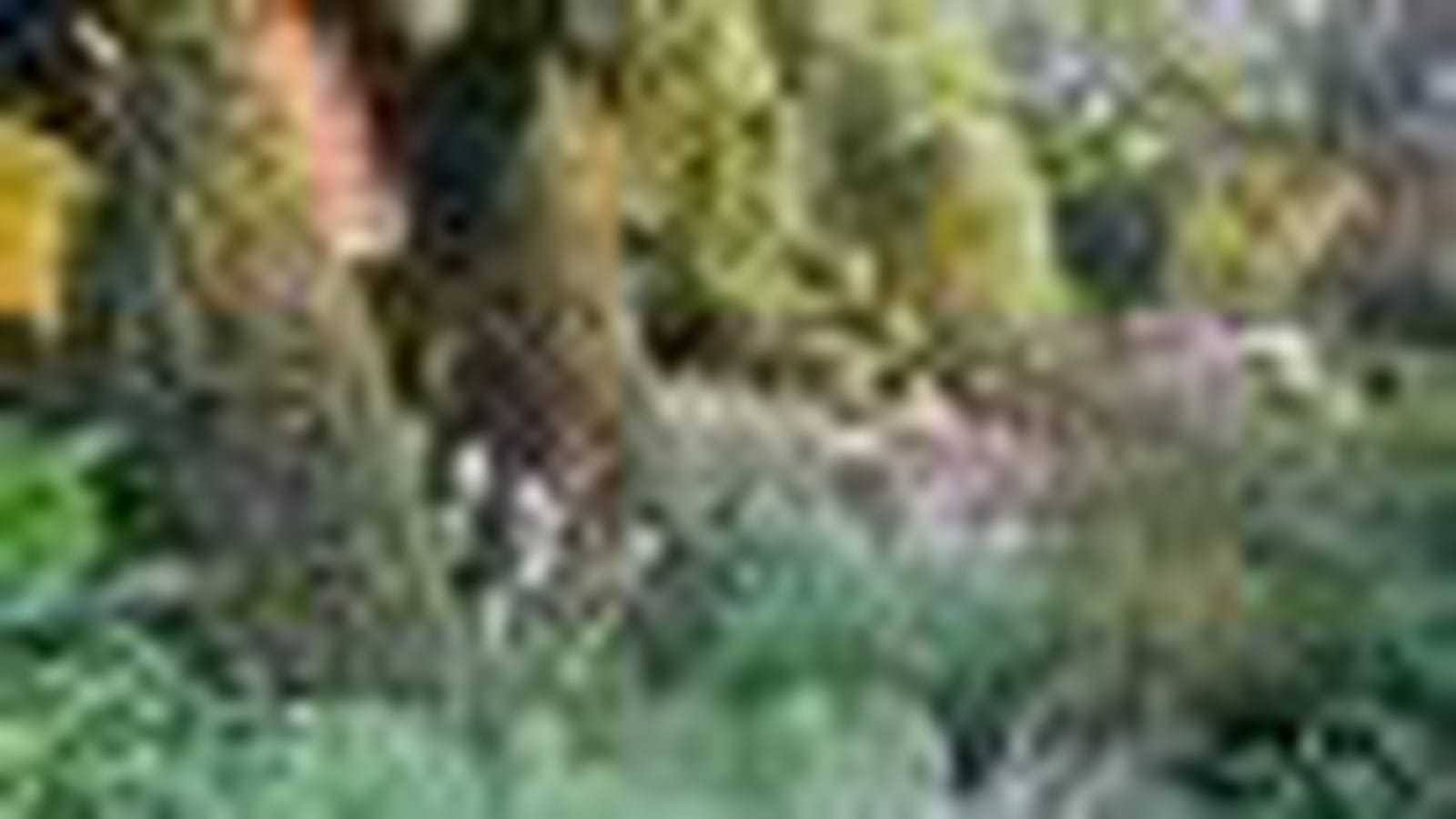 Jardin de Jacky