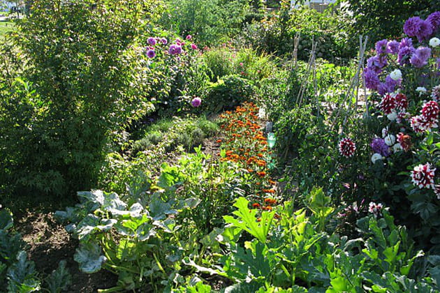 Un jardin des m&eacute;langes