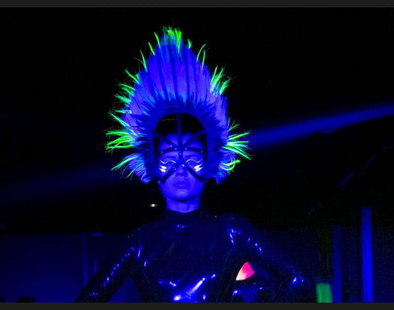 D&eacute;fil&eacute; Charlie Le Mindu&nbsp;: la coiffure feuille