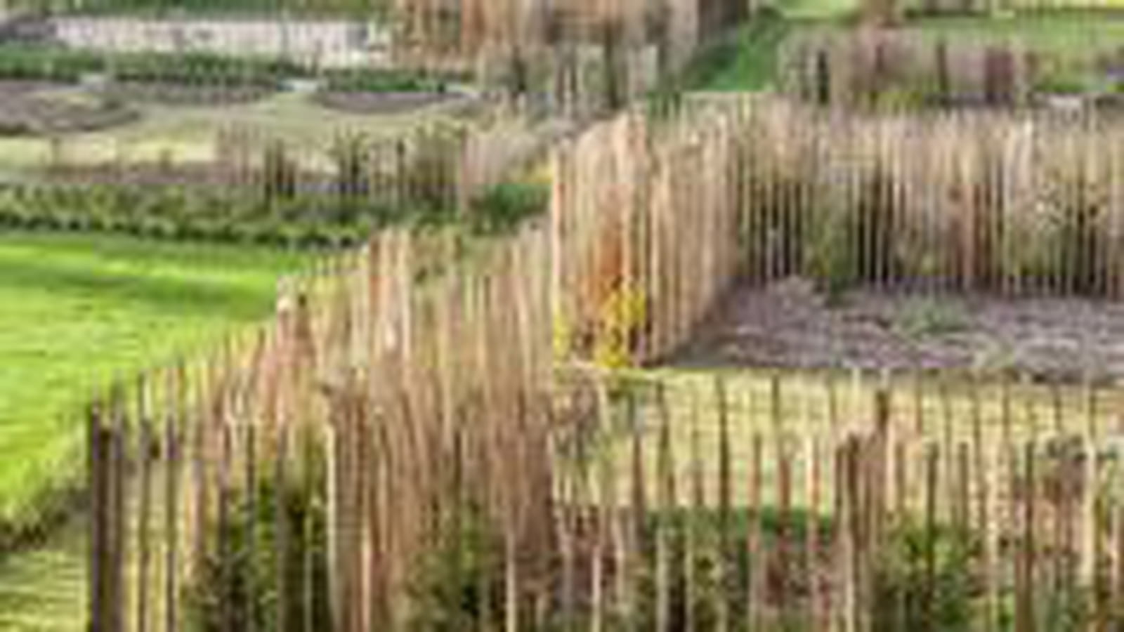 Potager de l'abbaye de Royaumont