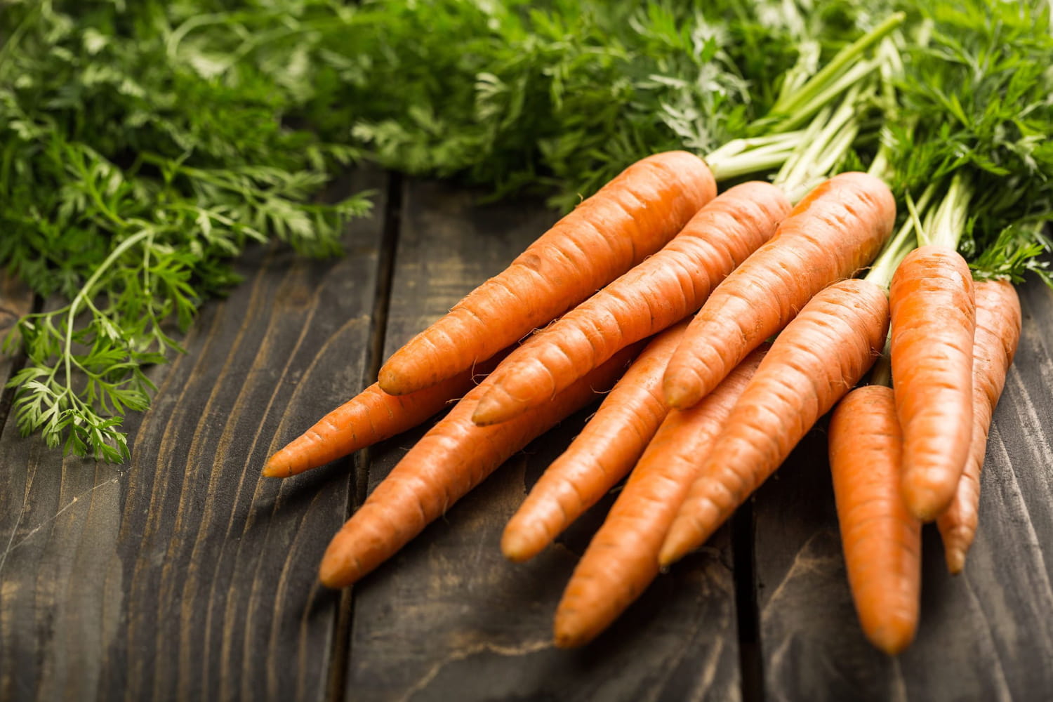 Comment faire cuire des carottes ?
