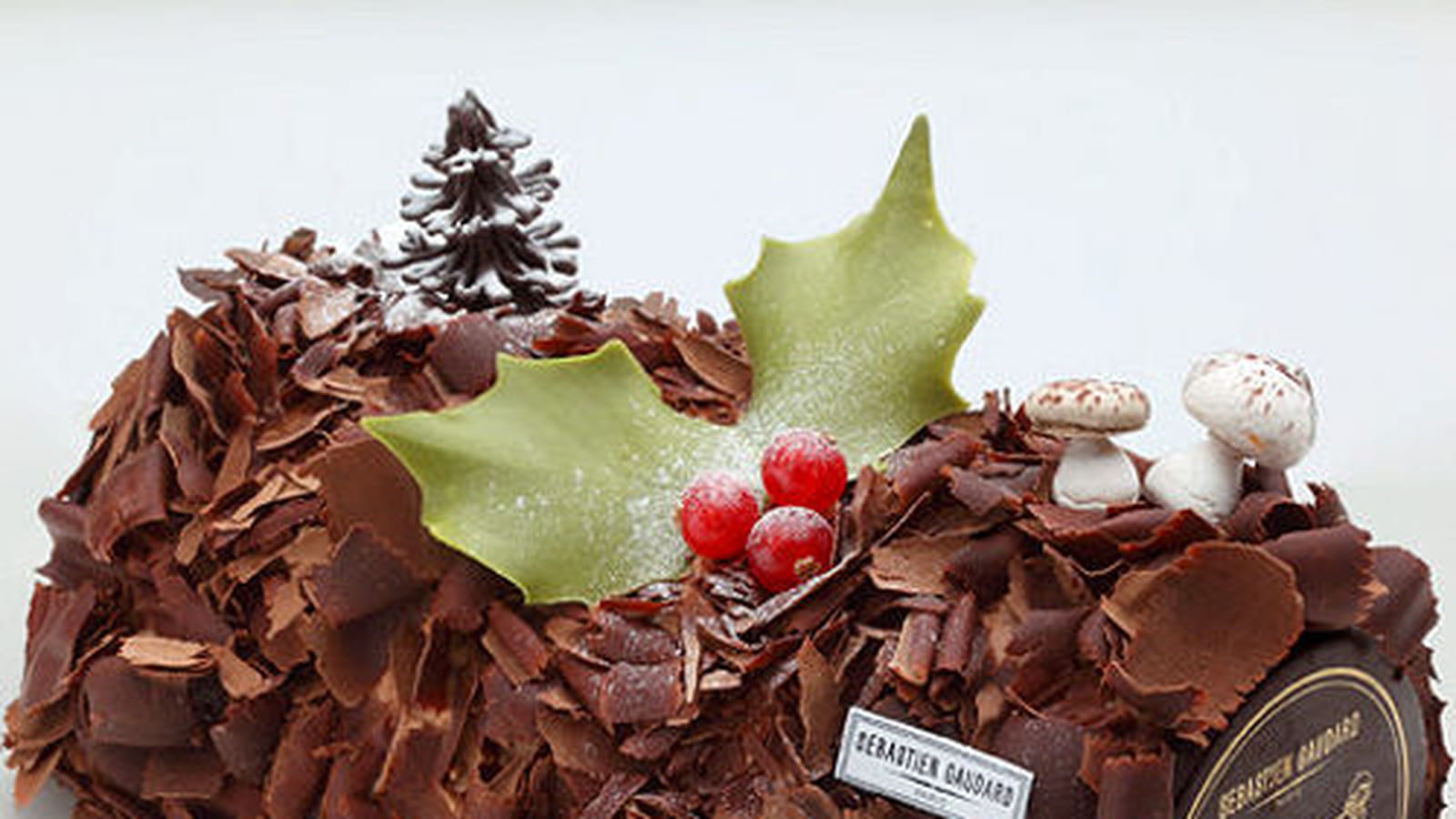 Bûche Merveilleuse Sébastien Gaudard