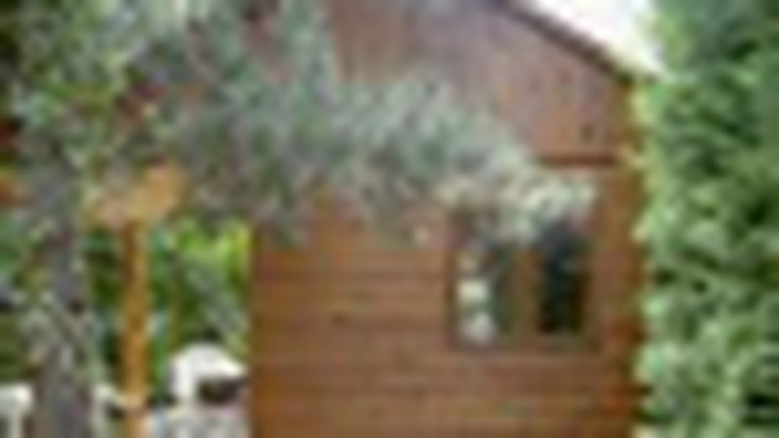 Cabane