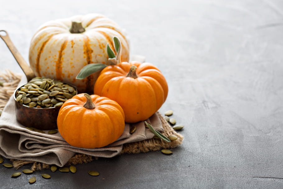 Courge