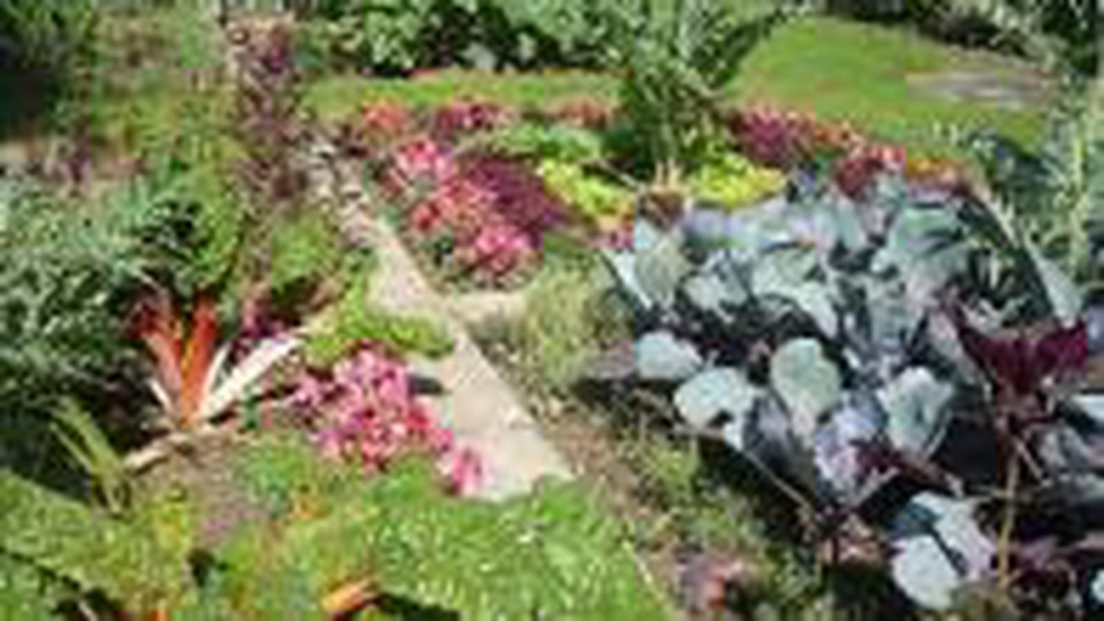 Potager