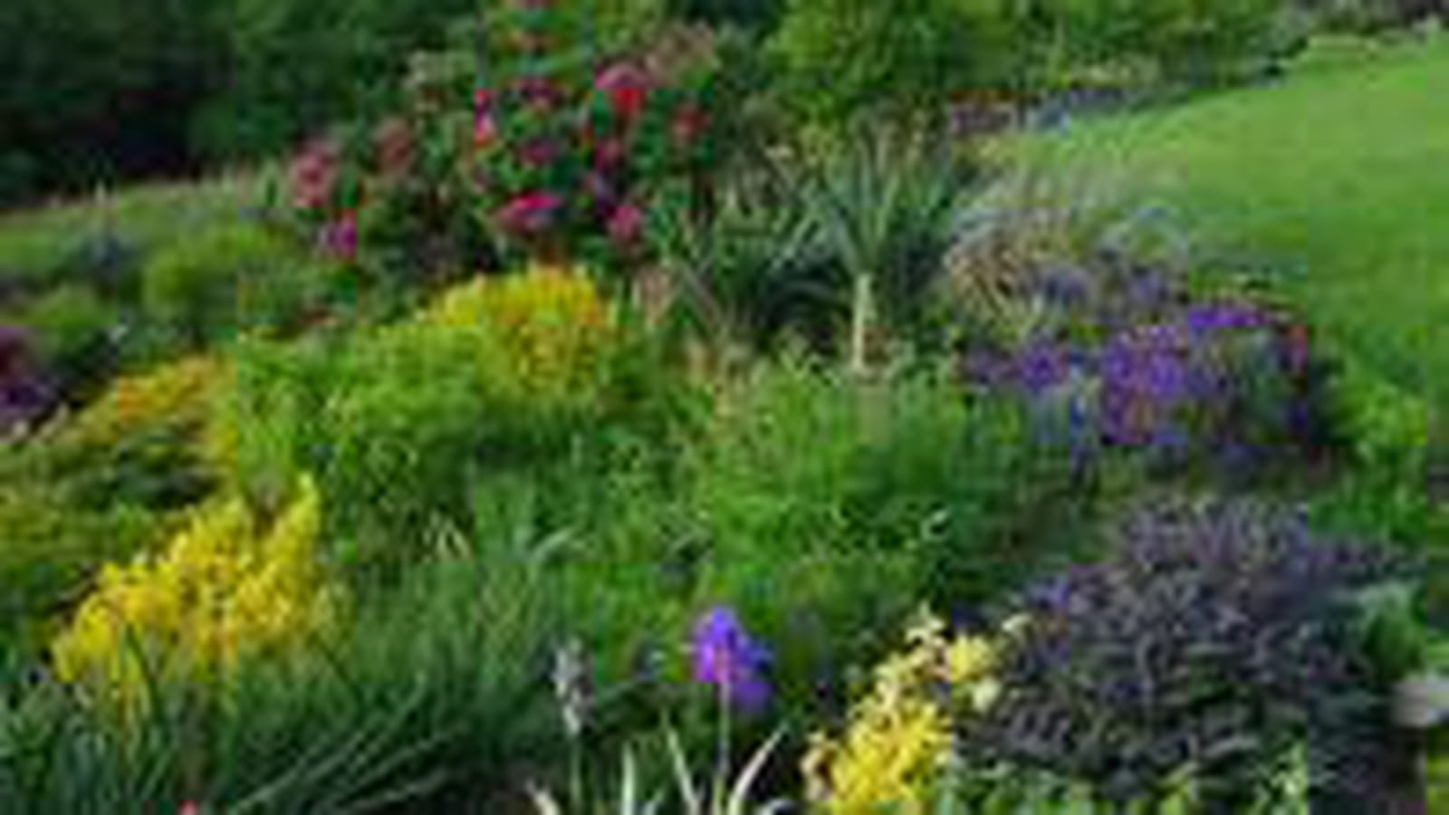 Mélange de plantes