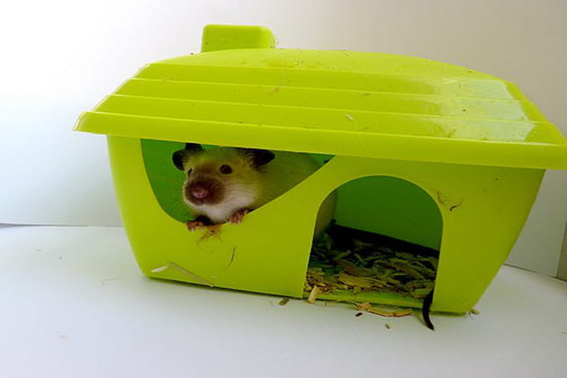 Bienvenue chez Franklin