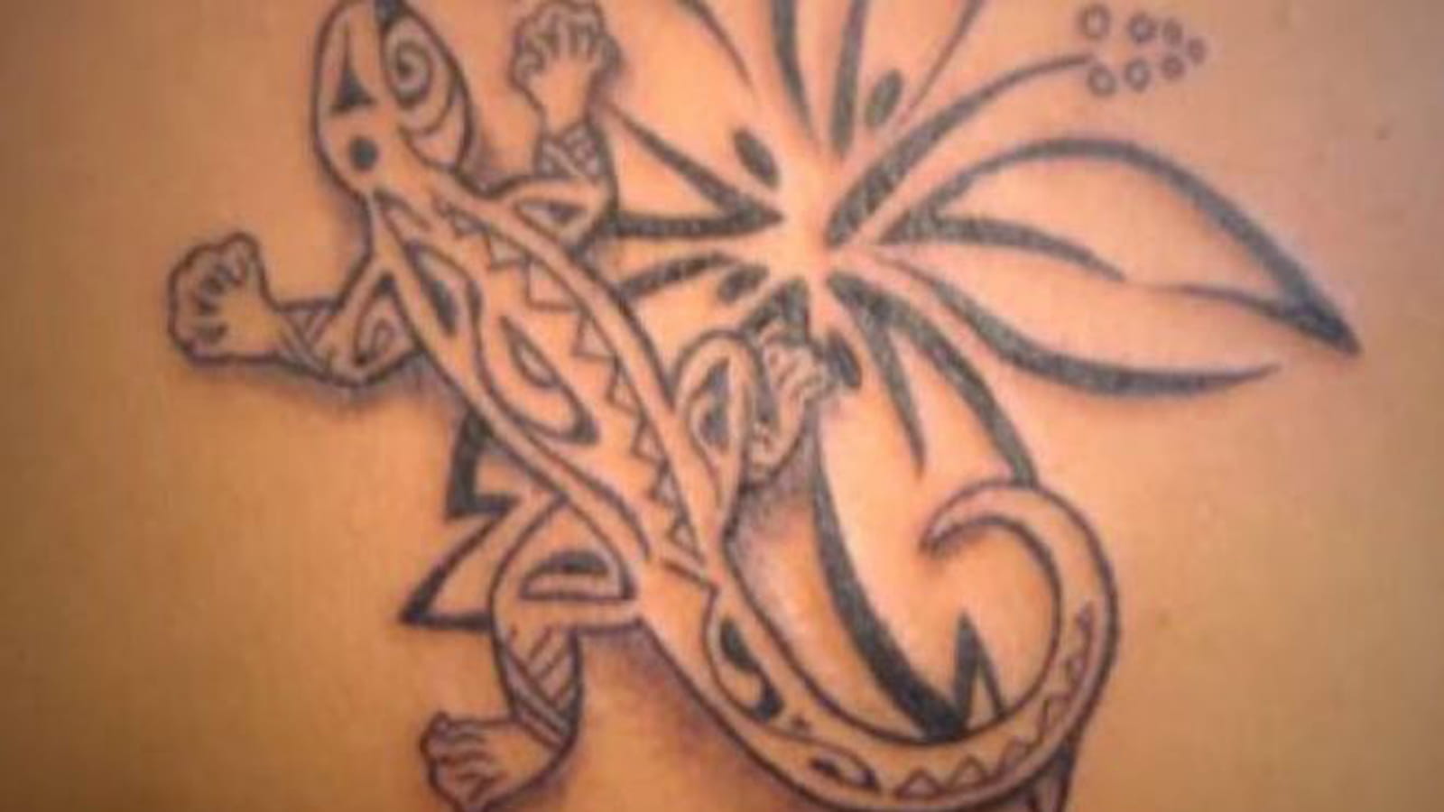 Lézard maori
