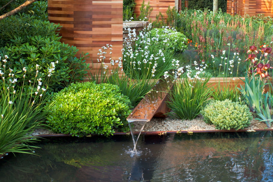 Comment faire un jardin d'eau ?