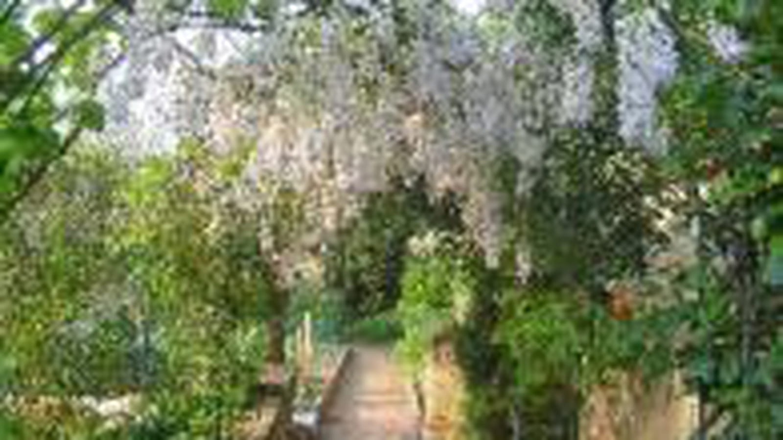 Jardin potager