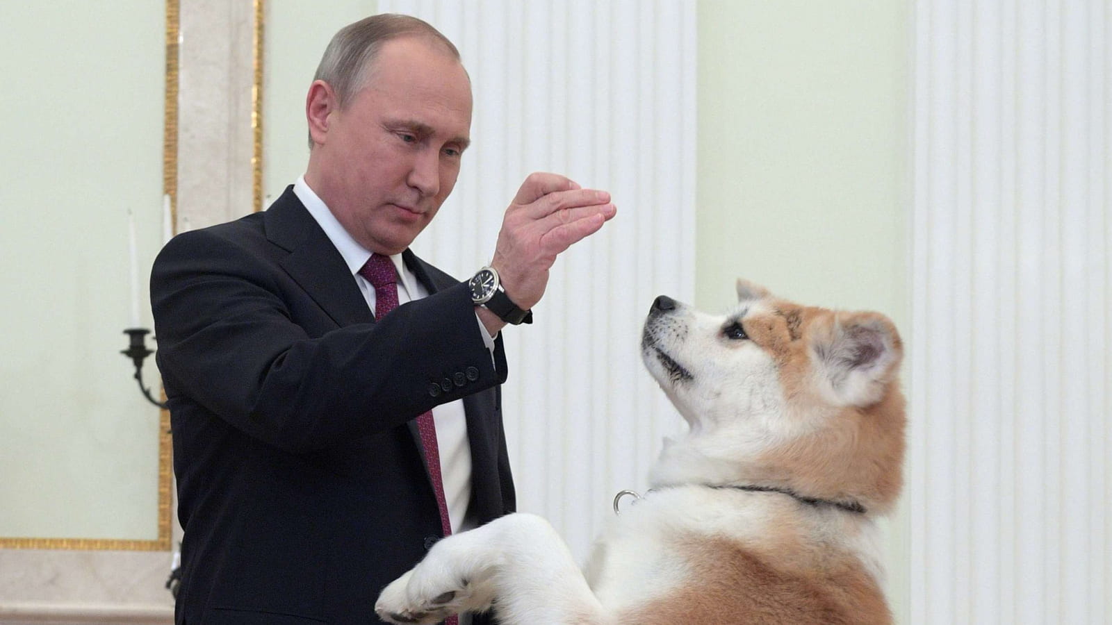 Vladimir Poutine 