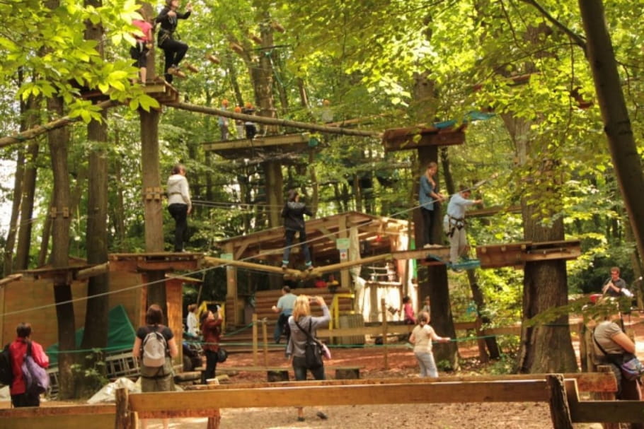 Vivez une journée inoubliable au parc d'attractions Aventure Land !