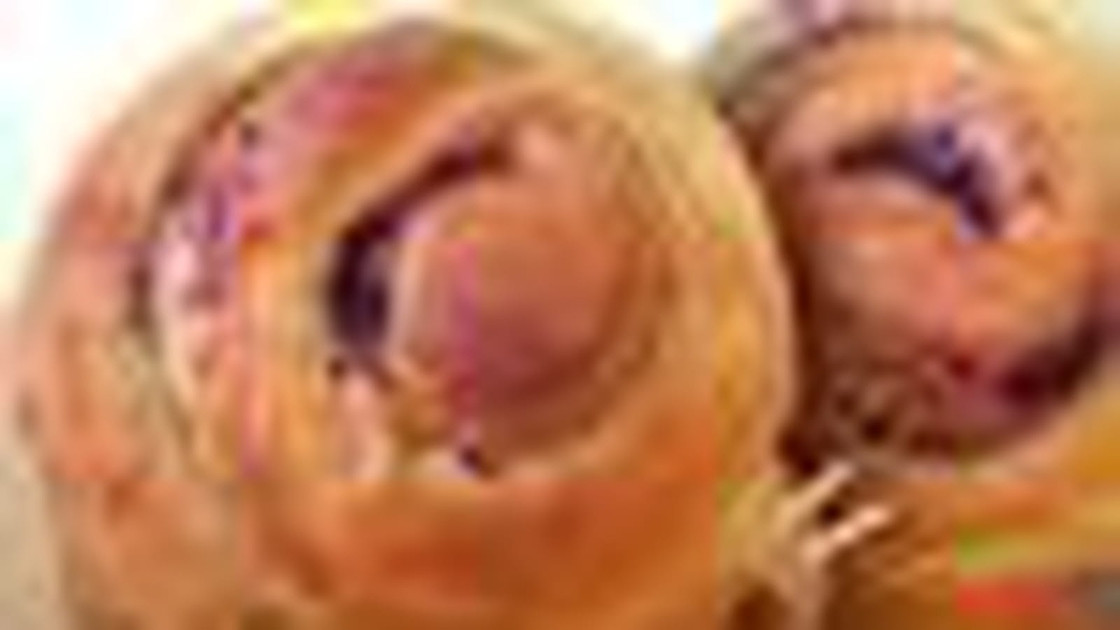 Brioches