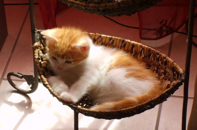 Hamac improvis&eacute;