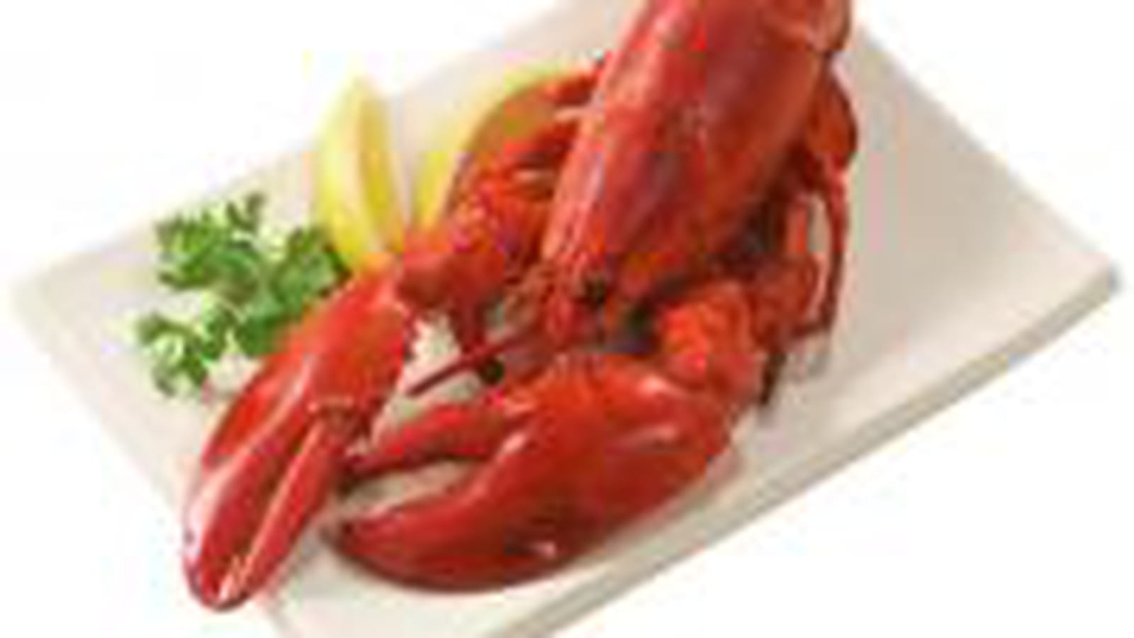 Homard cuit DIA