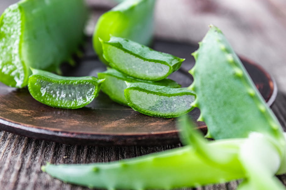 Les bienfaits de l'aloe vera sur les cheveux