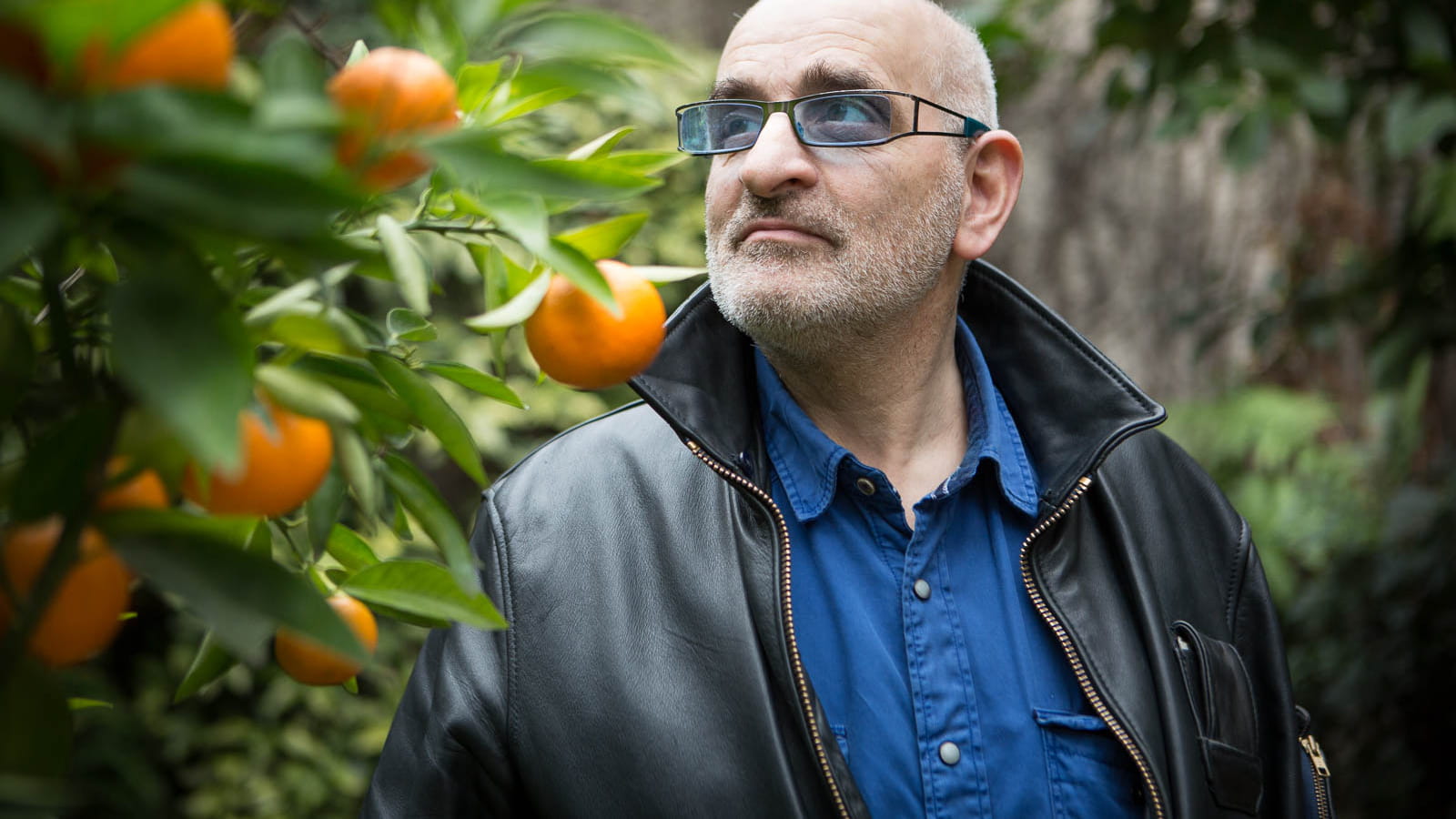 Alain Cohen joue les intermédiaires