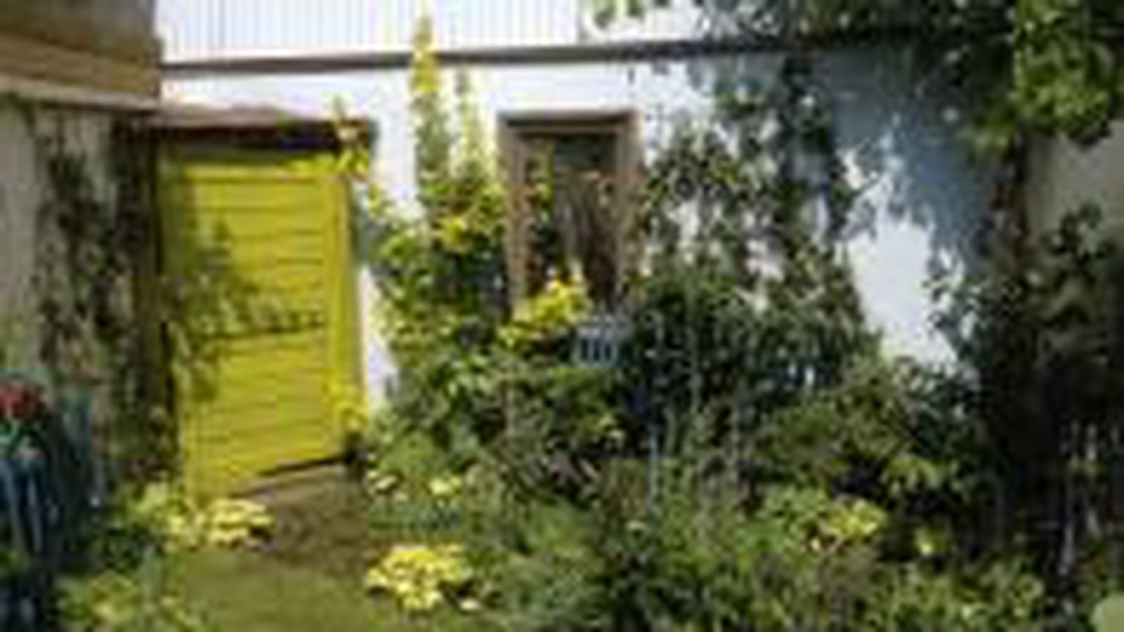 Jardin après