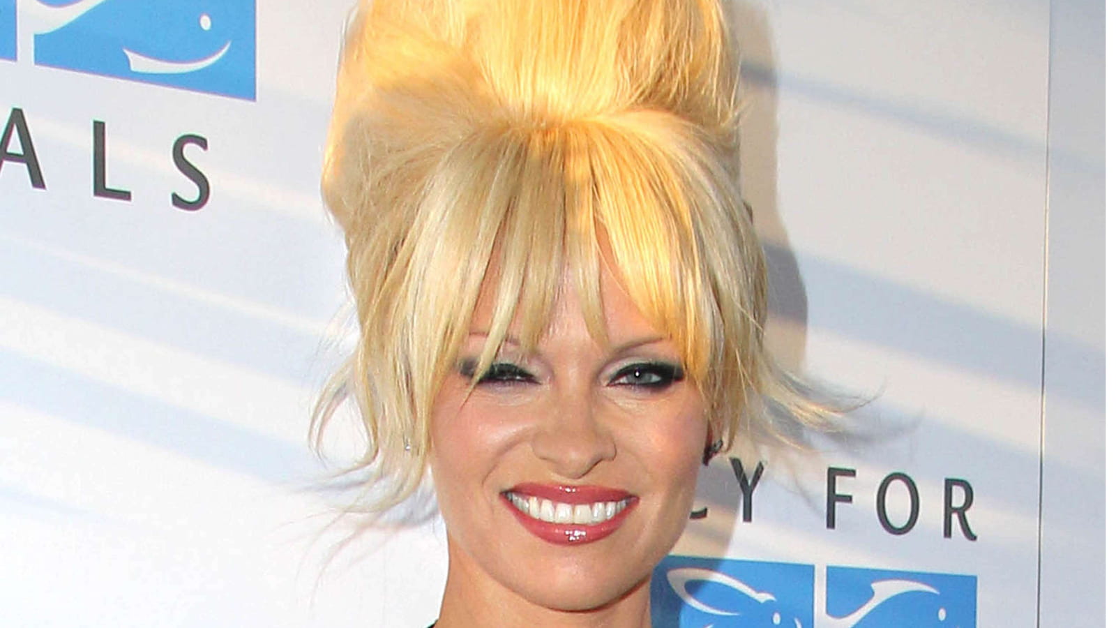 Chignon XXL 