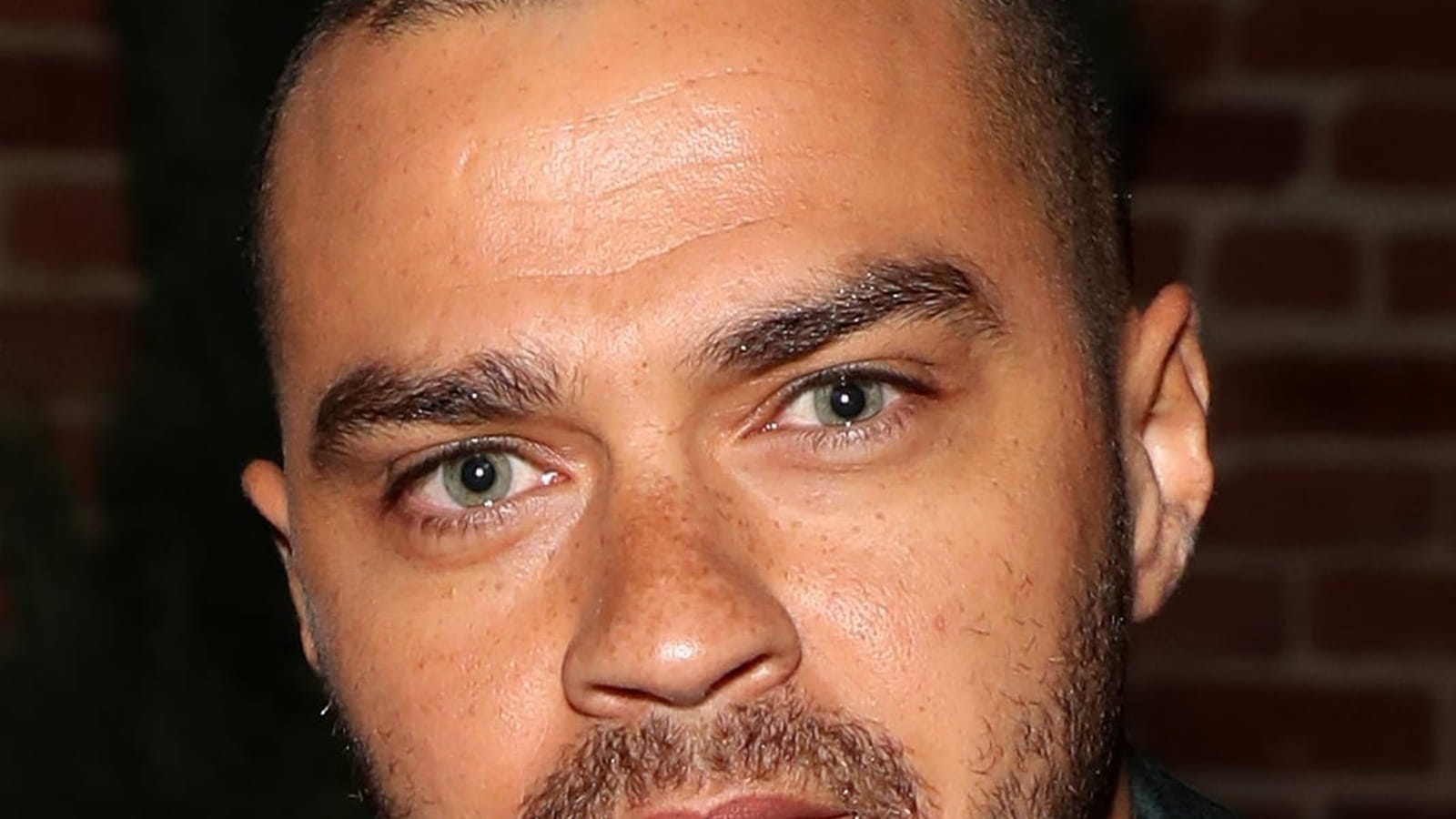 Jesse Williams (Grey's Anatomy)