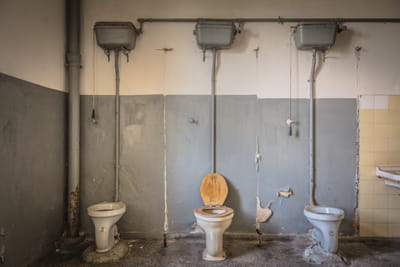 toilettes â© daskleineatelier fotolia