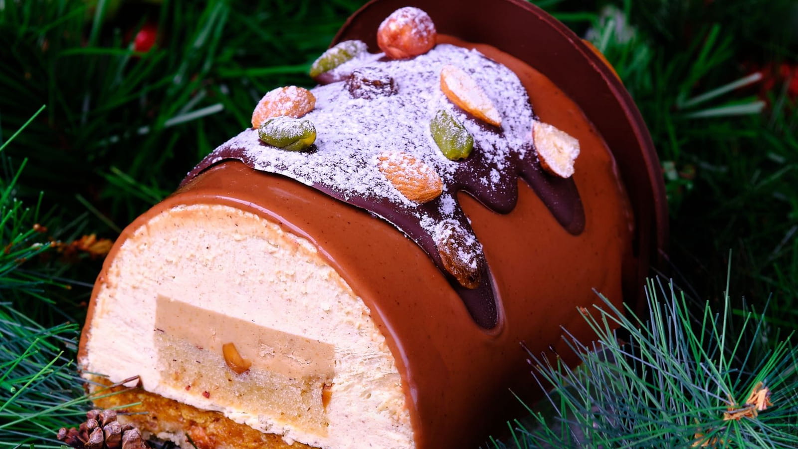 La bûche végétale "Mendiant" Hugo & Victor