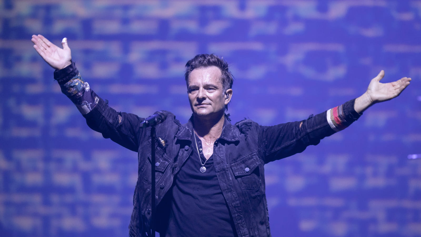 David Hallyday