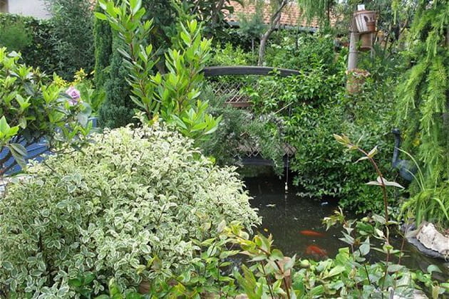 Dans la jungle du clos fleuri