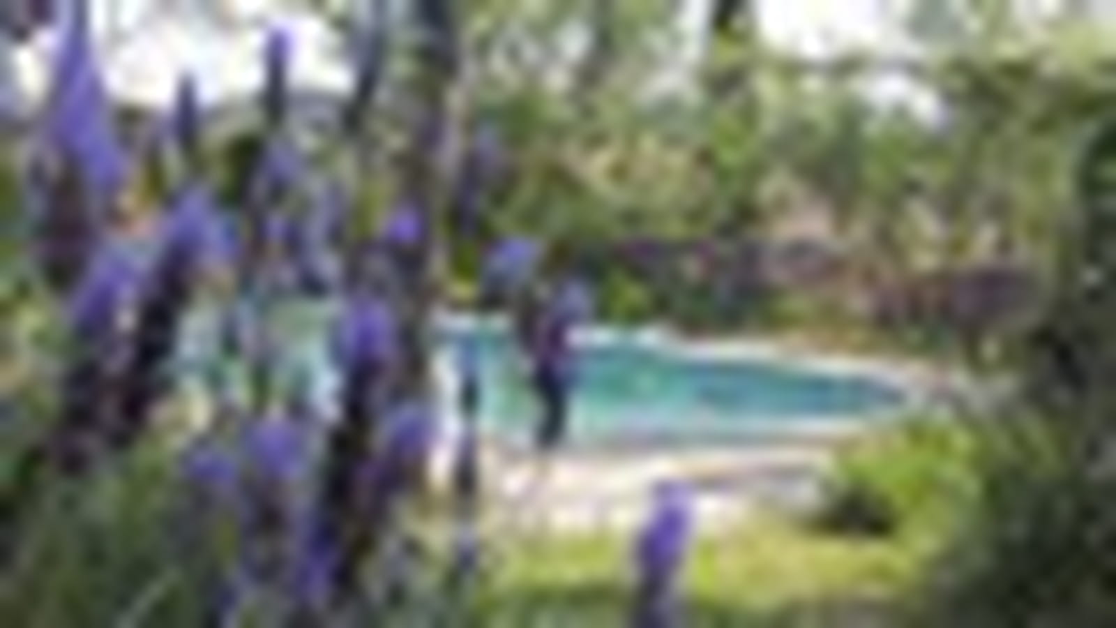 Jardin de Marie