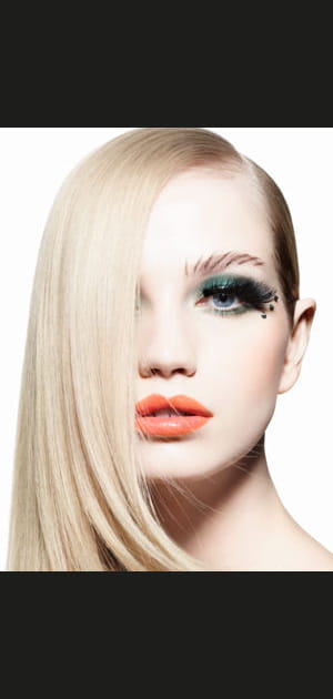 Guerri&egrave;re moderne