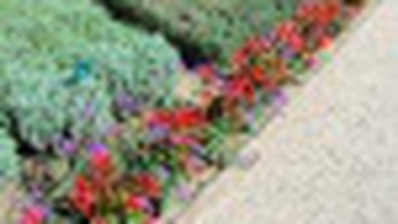 Jardin
