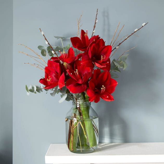 Un bouquet d'amaryllis