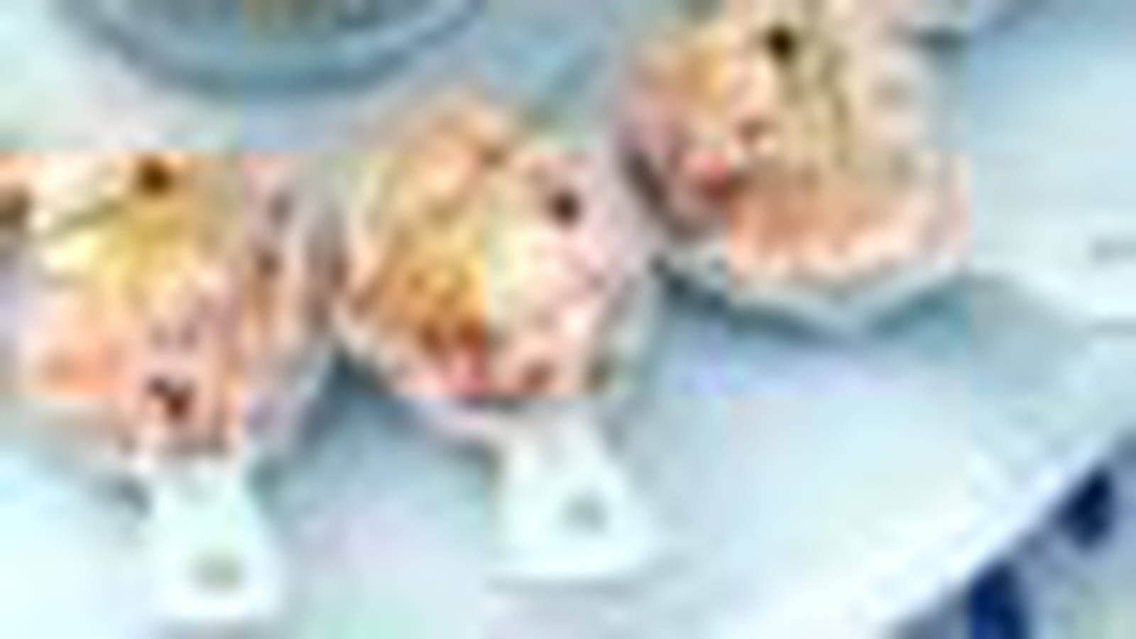 Rillettes